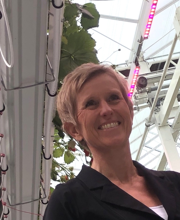 Silke Hemming